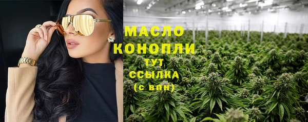 индика Арсеньев
