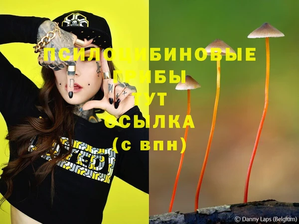 стаф Абаза