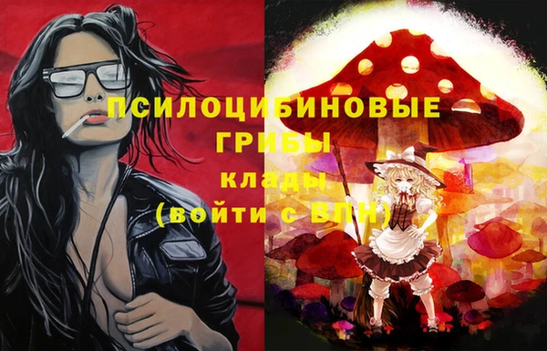 гидропоника Абдулино