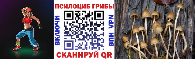 Галлюциногенные грибы MAGIC MUSHROOMS маркетплейс какой сайт Иваново